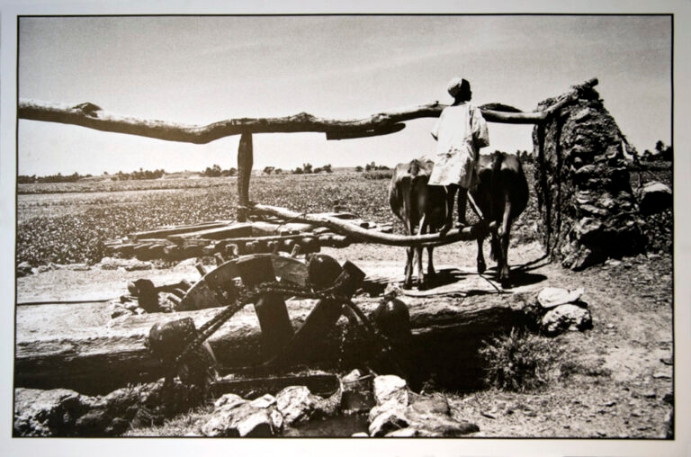 25 avril galerie dart_10