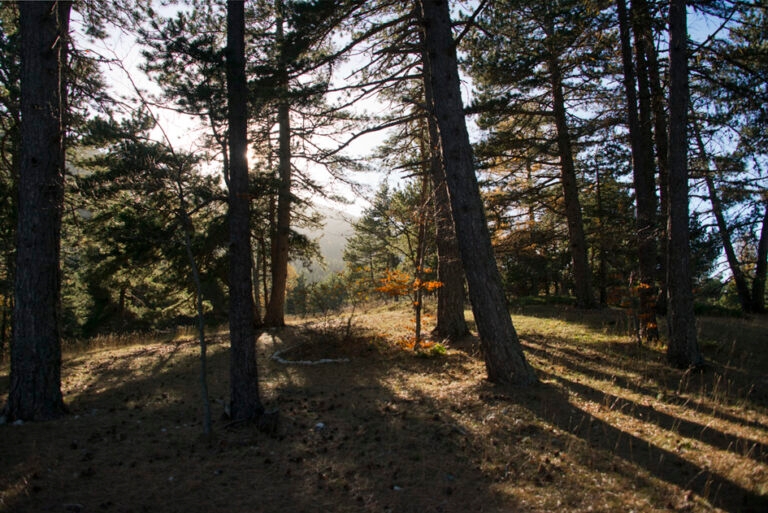 Randonnee_ventoux_11