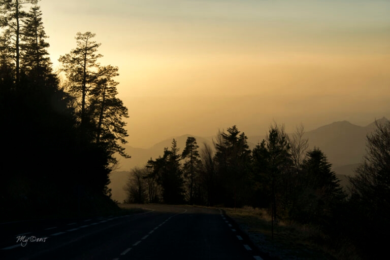 Randonnee_ventoux_16