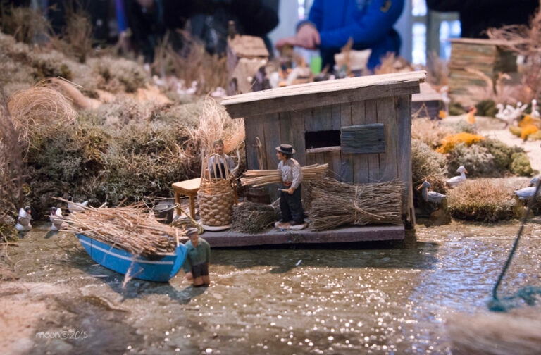 1Carpentrascreche_15