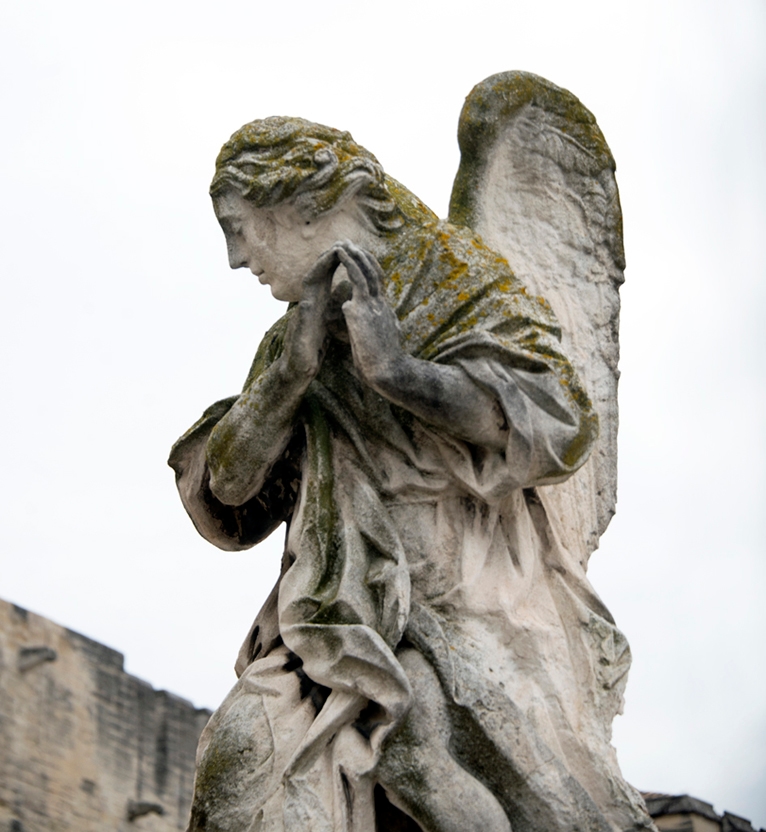 Avignon_5