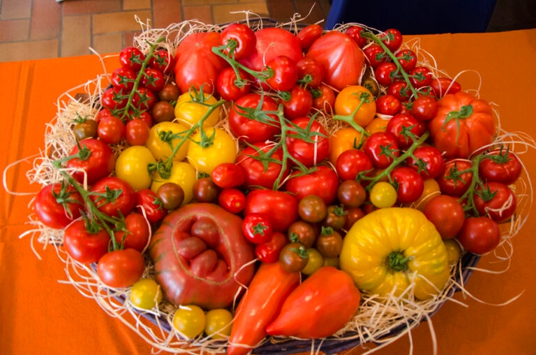 CONF-FOIRE-EXPO-AVIGNON_3