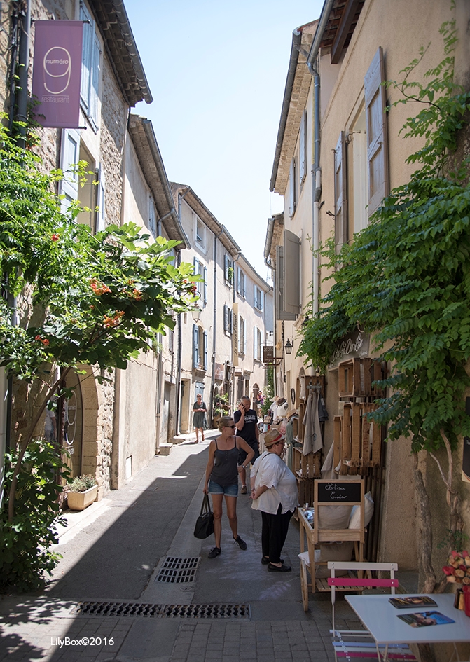 Lourmarin-Luberon-6