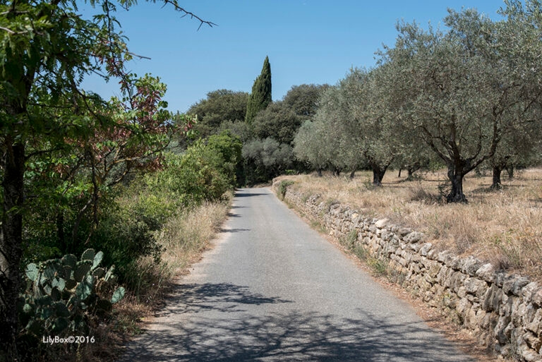 Lourmarin-Luberon