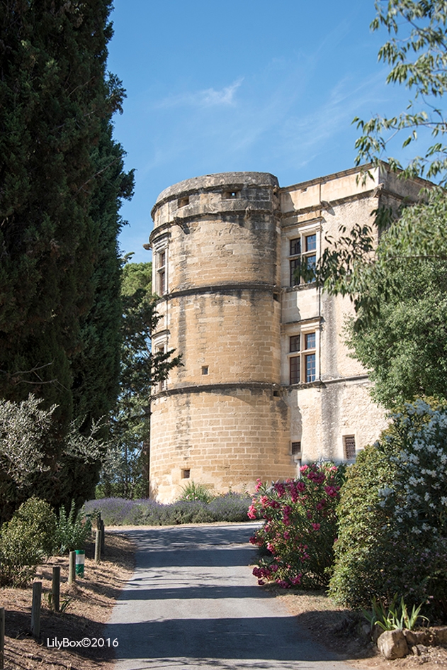 Lourmarin15