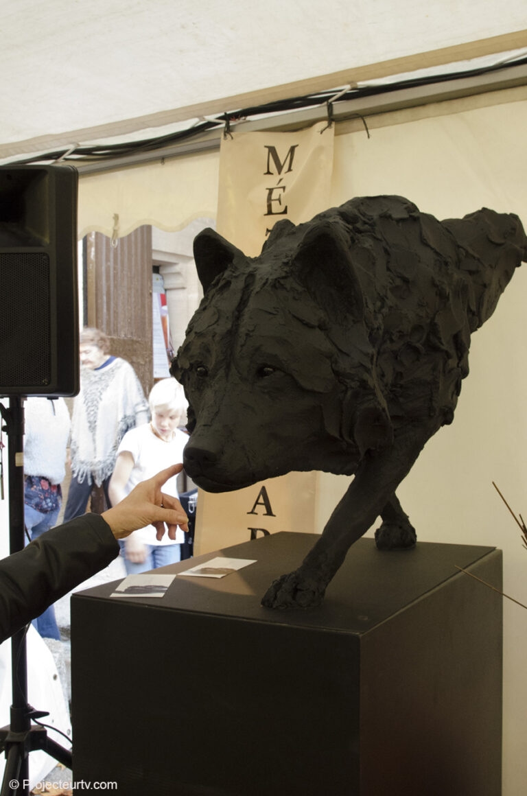 Rencontre_arts_pernes_14