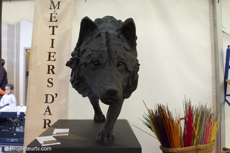 Rencontre_arts_pernes_15