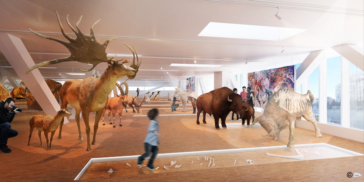 Grotte Cosquer interieur