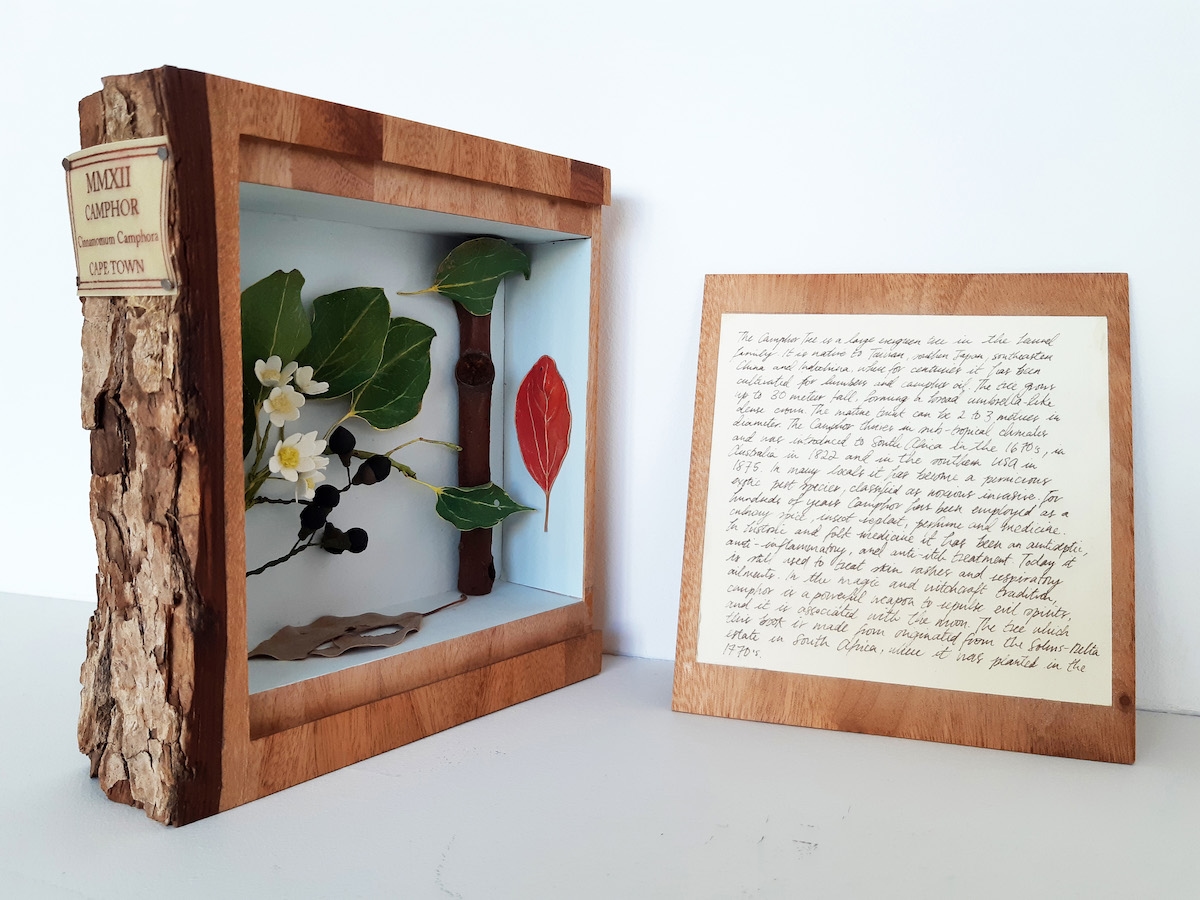 Les apprentis collectionneurs - Exposition ete 2020 Villa Paloma©NMNM