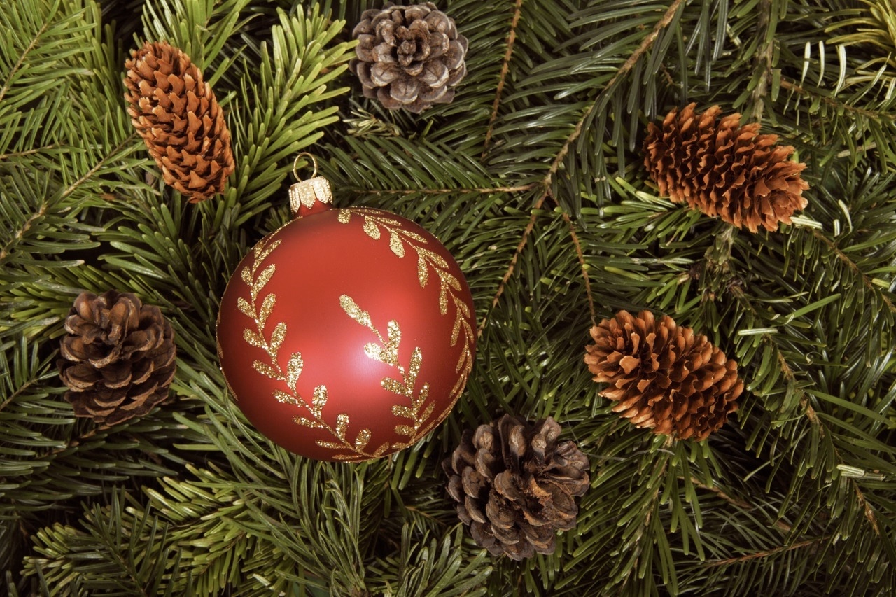 Fete de Noel en Provence Traditions