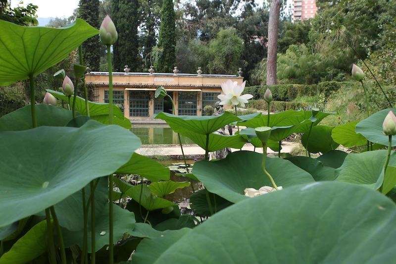 Serre de la Madone Menton