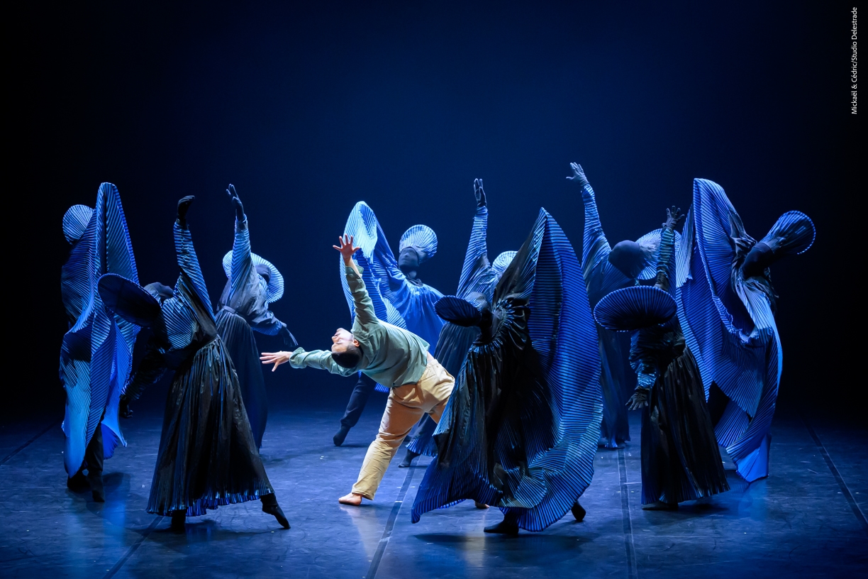 oiseau de feu stravinsky ballet opera avignon