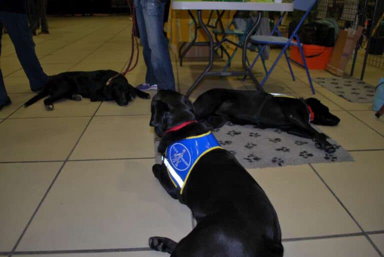 Journee_handicap_10