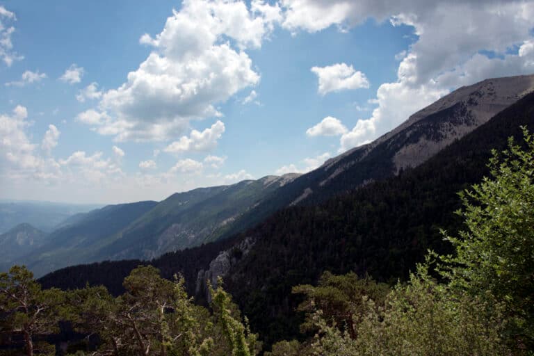 6 juin - Le Ventoux_7