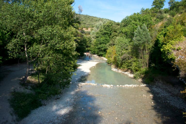 toulourenc8
