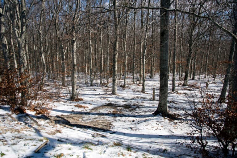 23Nov-Ventouxetneige2