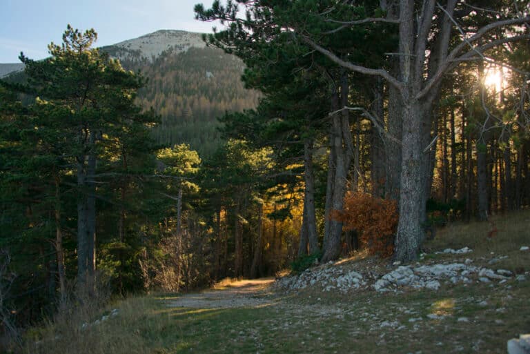 Randonnee_ventoux_2