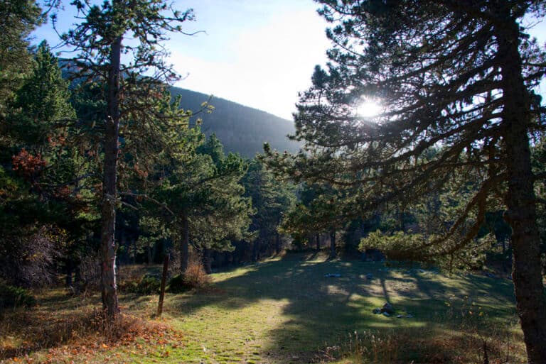 Randonnee_ventoux_5