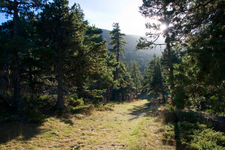 Randonnee_ventoux_6