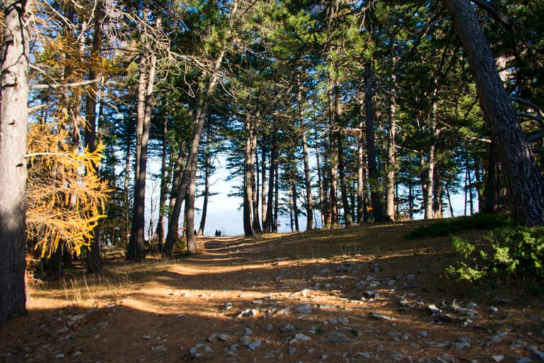 Randonnee_ventoux_8