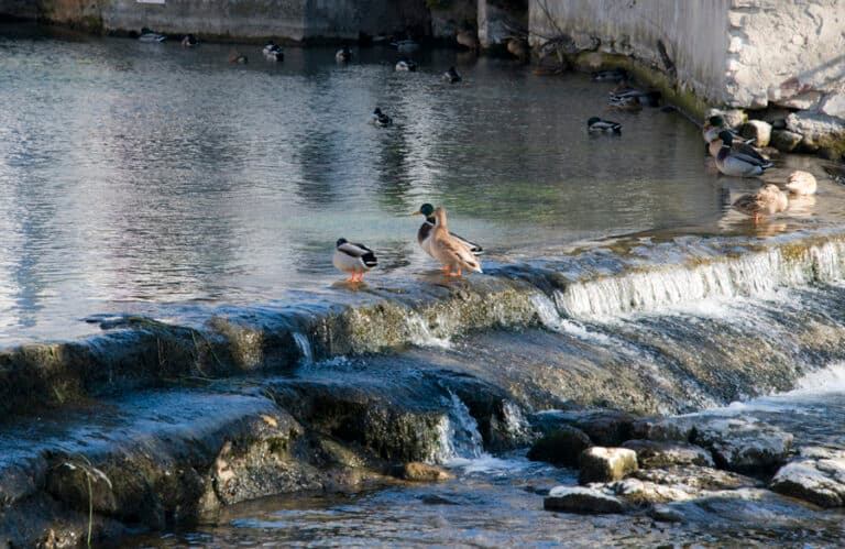 IslesurlaSorgue4