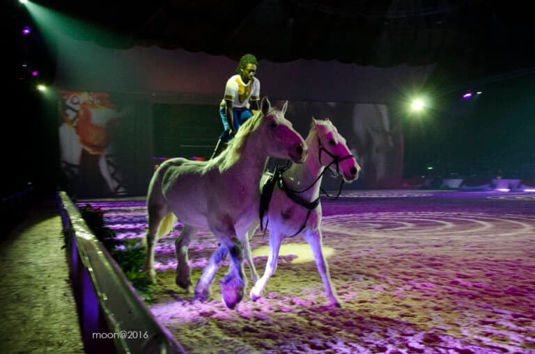 chevalpassion-14