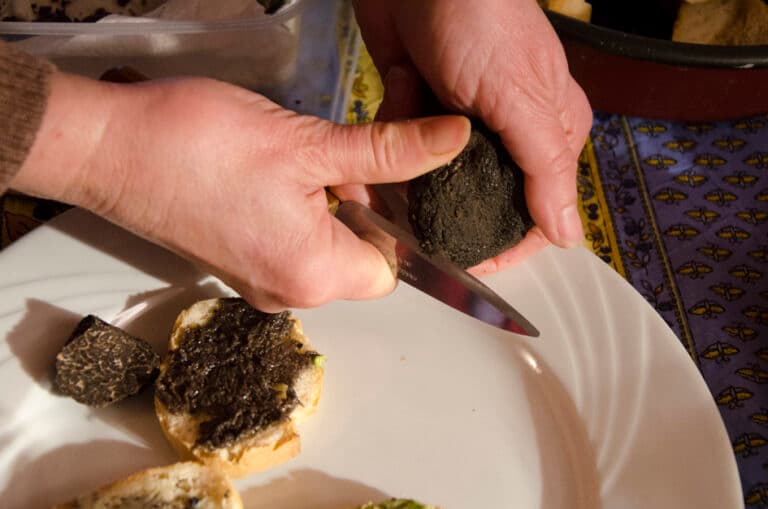 degustation-truffe6