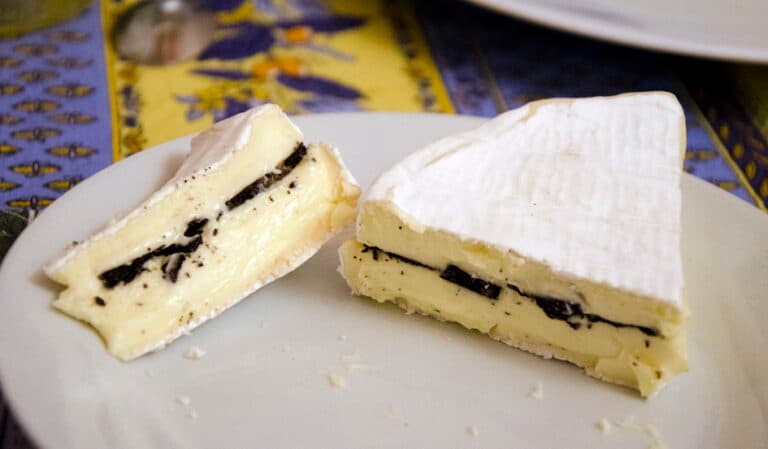 degustation-truffe7