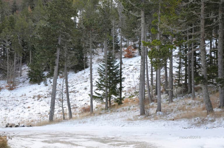 ventoux17