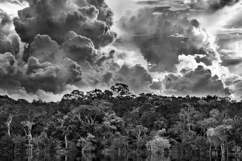 Archipel fluvial de Mariuá, Rio Negro, État d’Amazonas, Brésil, 2019 © Sebastião Salgado