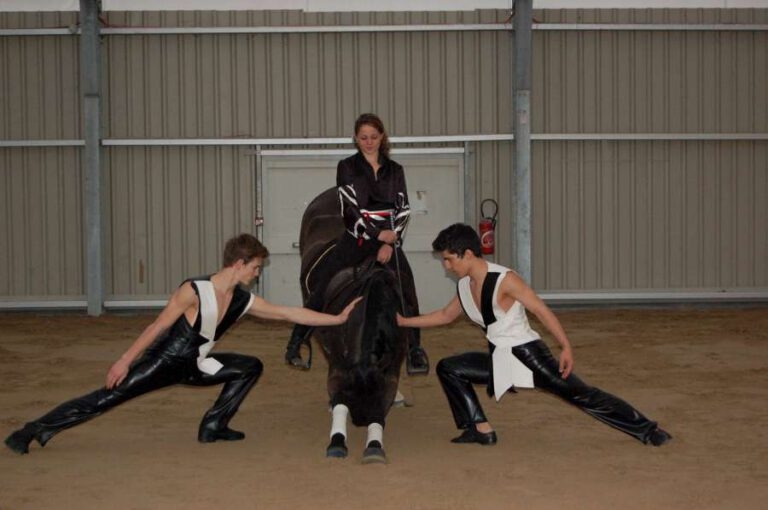 Cheval_passion_2014_10