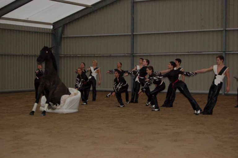 Cheval_passion_2014_4