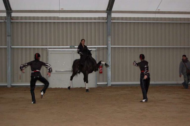 Cheval_passion_2014_6