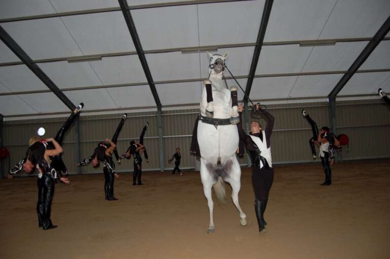 Cheval_passion_2014_9