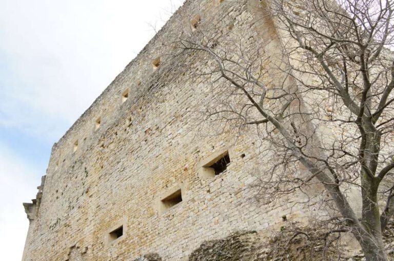 visite_chateau_vaison_1