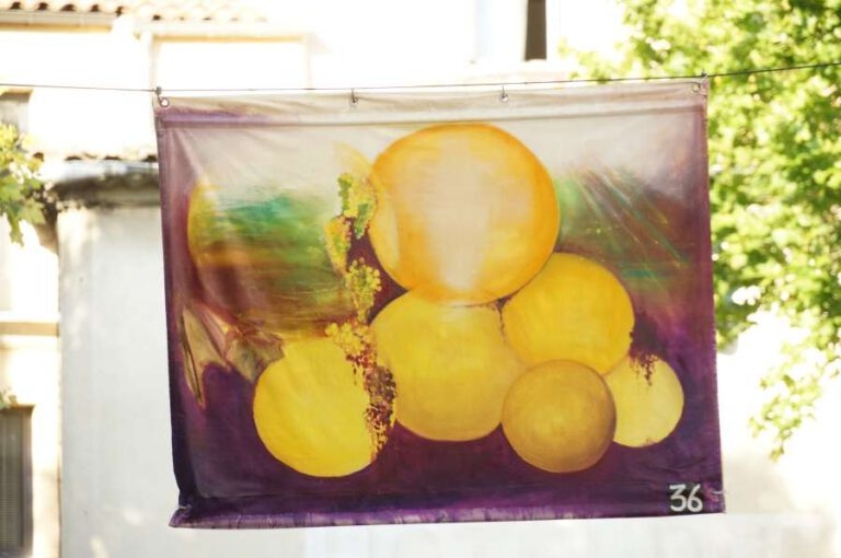 Vernissage_papillons_9