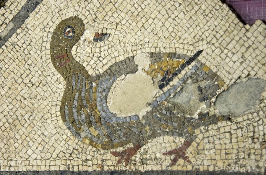Mosaïque aux oiseaux de Vaison la Romaine