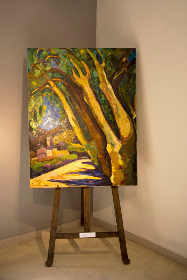 Expo_pascal_ambrogiani_3