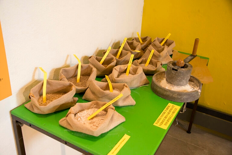 paroles de moulins_3