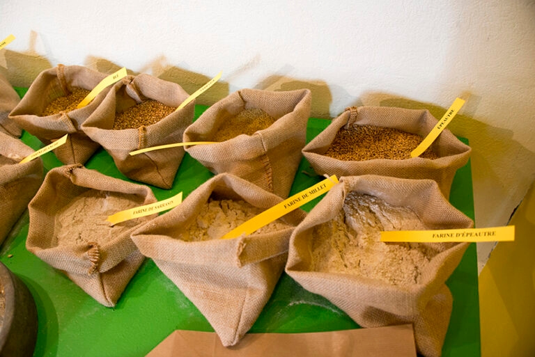 paroles de moulins_5