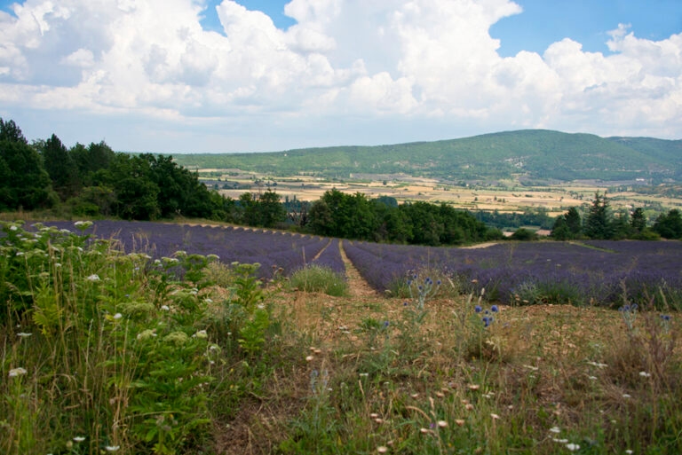 24 juillet - Sault_2 LP