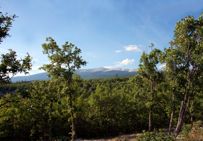 24 juillet - vers Flassan PL