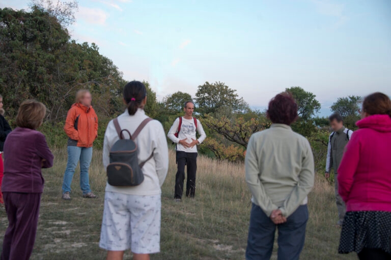 0_marche_vitao_sante