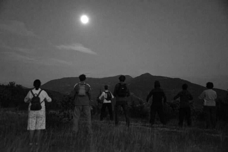 12_marche_vitao_sante