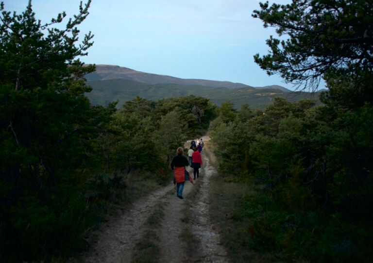 2_marche_vitao_sante