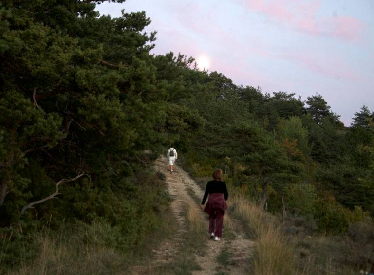 3_marche_vitao_sante