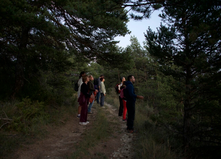 4_marche_vitao_sante