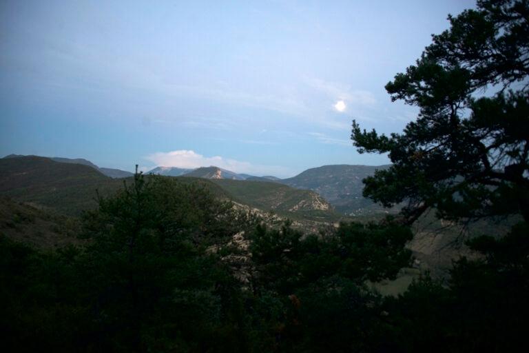 5_marche_vitao_sante