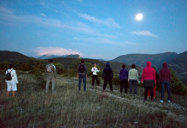 8_marche_vitao_sante