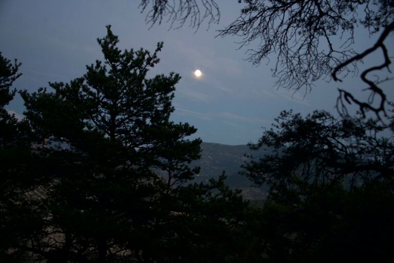 9_marche_vitao_sante